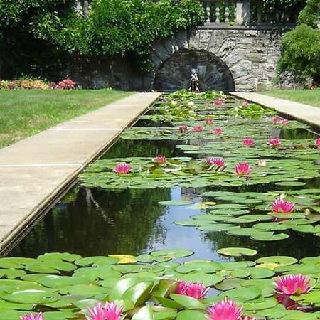 New Jersey State Botanical Garden