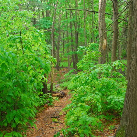 Hiking Wawayanda State Park, 2009 - 07/29/2013
