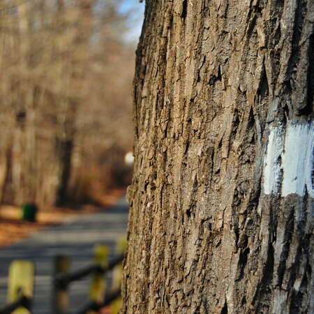 A fun hike through Watchung Reservation (Jan '16) - 01/01/2016