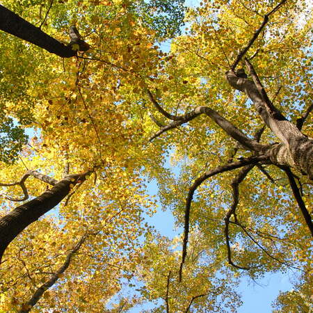 Somerset County Park Commission