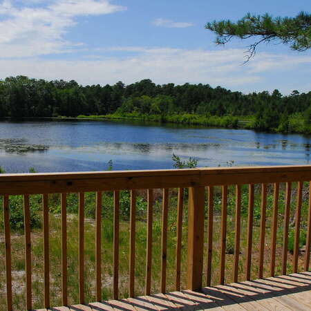 Bunker Hill Bogs Wildlife Recreation Area