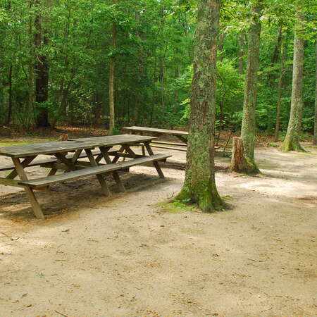 Birch Grove Campground (closed)
