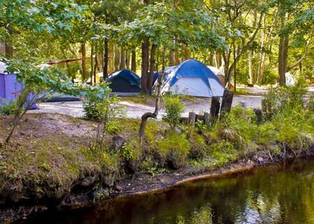 Surf & Stream Luxury RV Resort