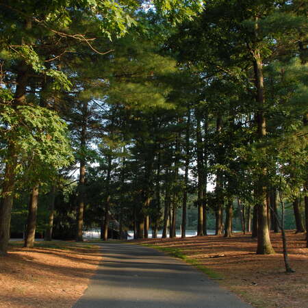 Ocean County Park