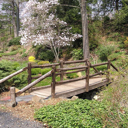 Laurelwood Arboretum