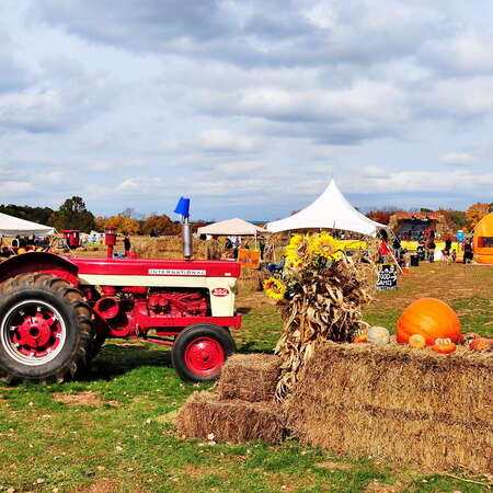 Snyders Farm