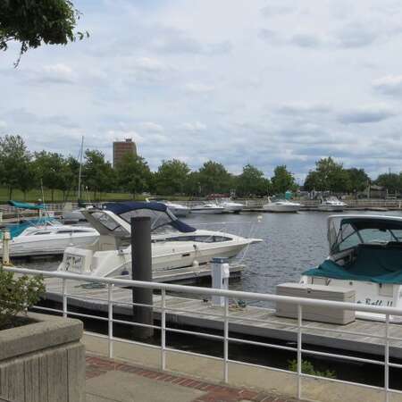 Wiggins Park Marina
