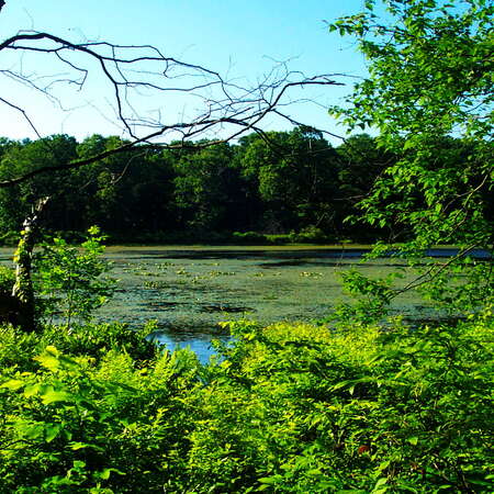 Allamuchy Mountain State Park