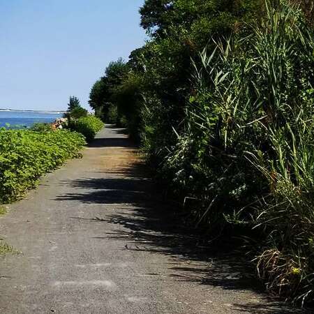 Henry Hudson Trail