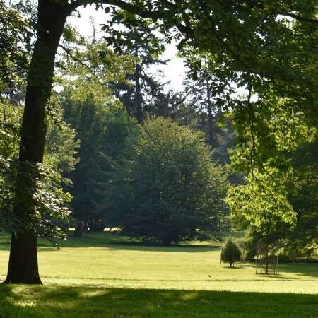 Marquand Park