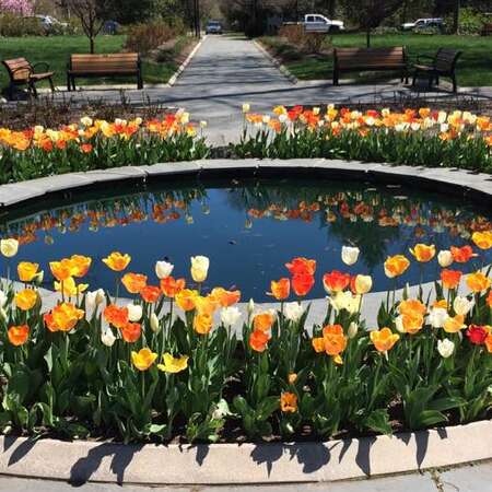 Colonial Park Gardens