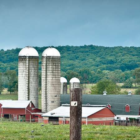 Readington River Buffalo Farm