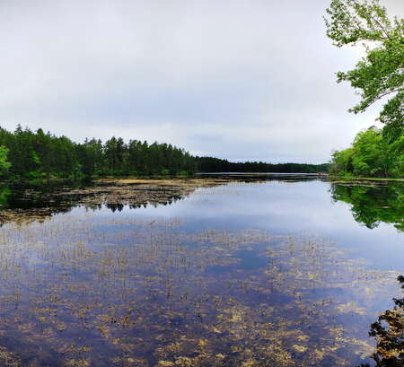 Wells Mills County Park
