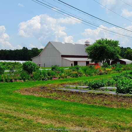 Terhune Orchards