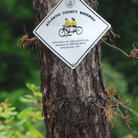 Photos Of: Atlantic County Bikeway - 06/26/2009