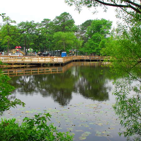 Birch Grove Park