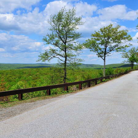 Stokes State Forest Campgrounds