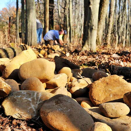 Trail Maintenance Day in Mercer County Park - Nov 2016 - 11/19/2016