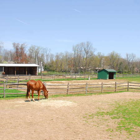 Lord Stirling Stable