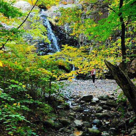 Hemlock Falls