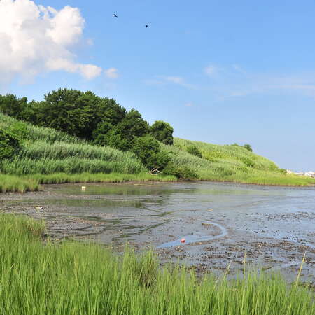 Gull Island County Park & Conservation Area