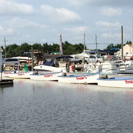 Trixies Landing