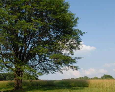 Unauthorized Trail Building at High Point State Park (via JORBA)