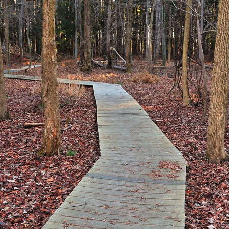 Rancocas Nature Center