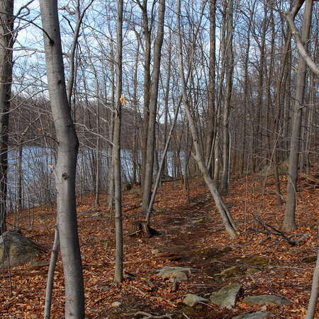 Long Pond Ironworks State Park