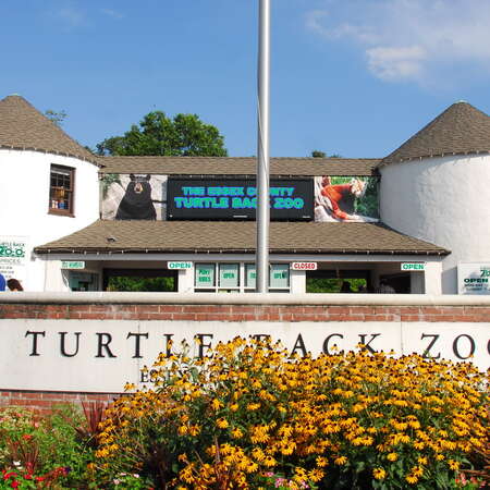 Turtle Back Zoo
