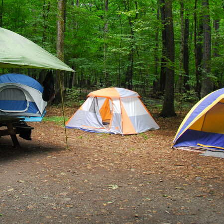 Dingmans Campground