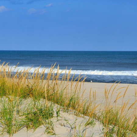 Island Beach State Park