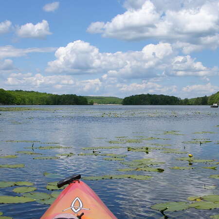 Wawayanda State Park