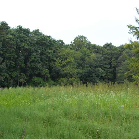 Great Swamp Outdoor Education Center