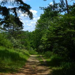 Photos of: Round Valley Recreation Area -- Trails - 04/12/2012