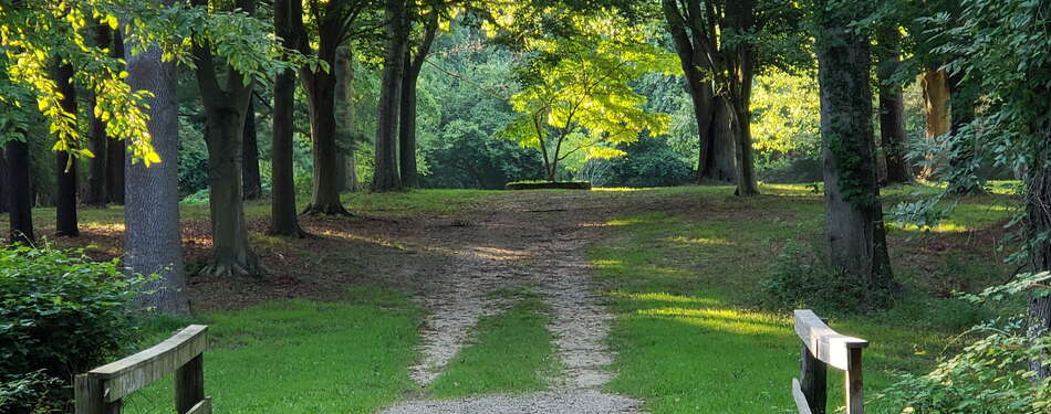 New Parks And Places May, 2020