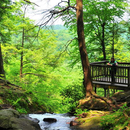 Buttermilk Falls