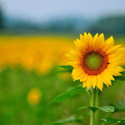 Oh, New Jersey, how do we love thee? 118 reasons why... - 10/23/2015