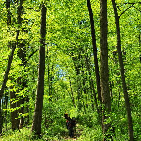Baldpate Mountain