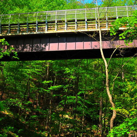 Ken Lockwood Gorge Wildlife Management Area
