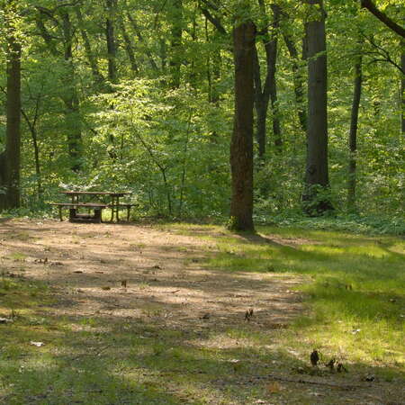 Cheesequake Campground