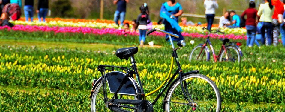 30+ Fun Locations Opening for their 2022 Season