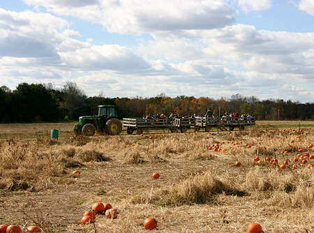 Shady Brook Farm