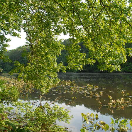 Photos of: Thompson Grove Park (2008) - 09/24/2015