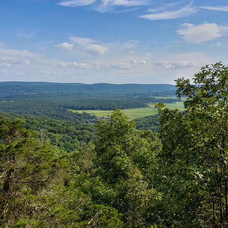 Jenny Jump State Forest