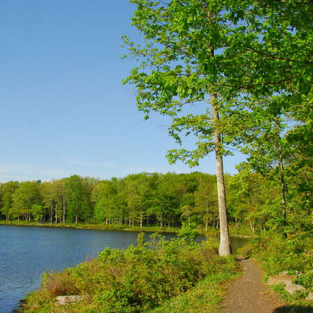 Sawmill Lake Campground at High Point