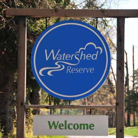 The Watershed Institute
