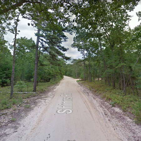 Brendan T. Byrne State Forest