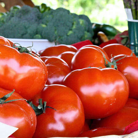 Andersen Farms