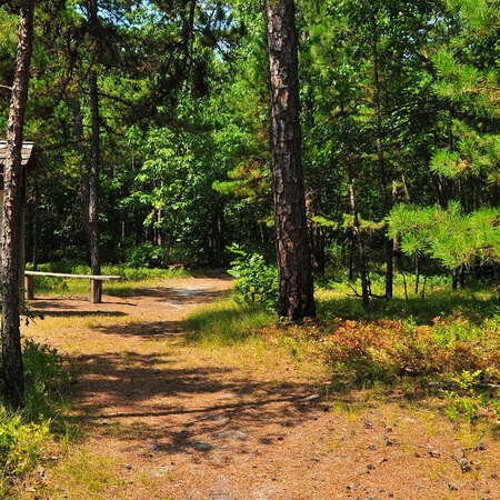 Forest Resource Education Center